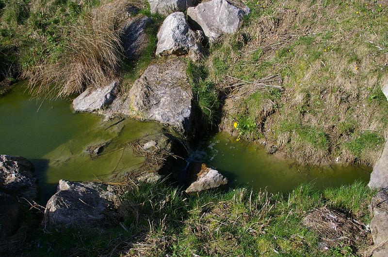 2010-04-01_018.JPG