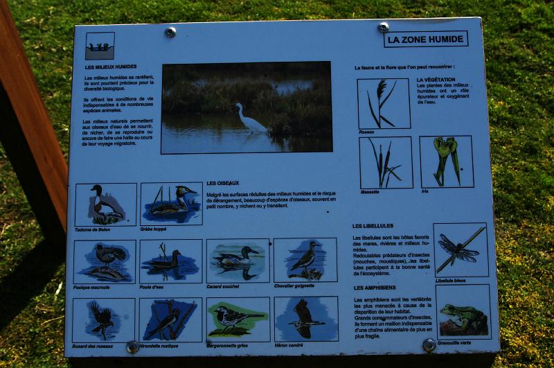 2010-04-01_022.JPG