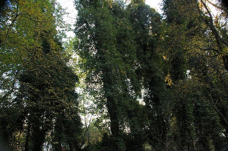 20121118_033.JPG