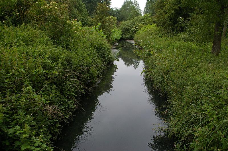 20140601_009.JPG