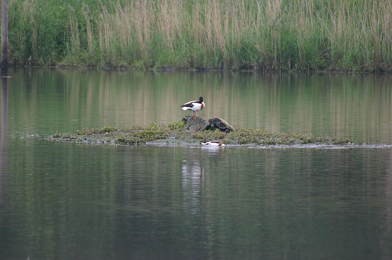 20140601_020.JPG