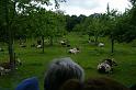 20140607_053_st_hippolyte