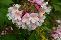 20140607_060_st_hippolyte