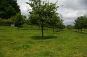 20140607_084_st_hippolyte