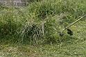 20140618_025_JPQ
