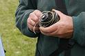 20140618_029_JPQ