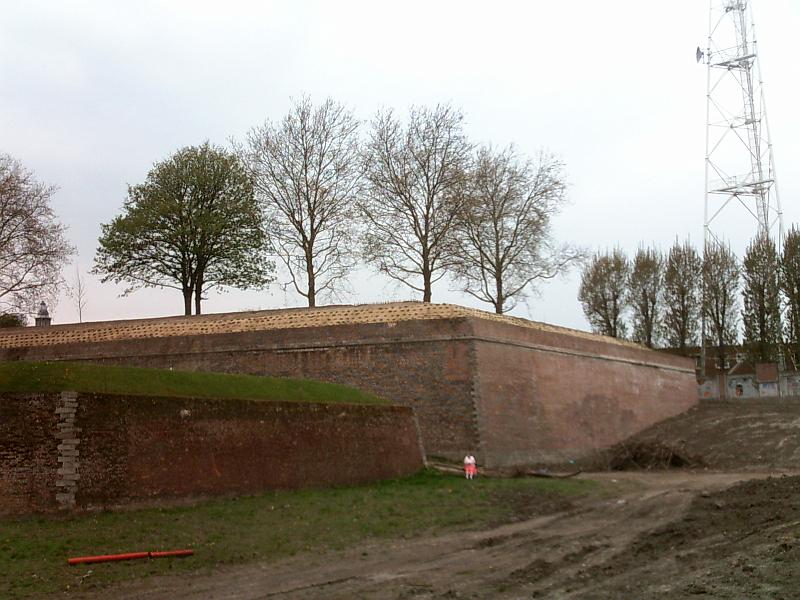 2010-04-25_04.JPG