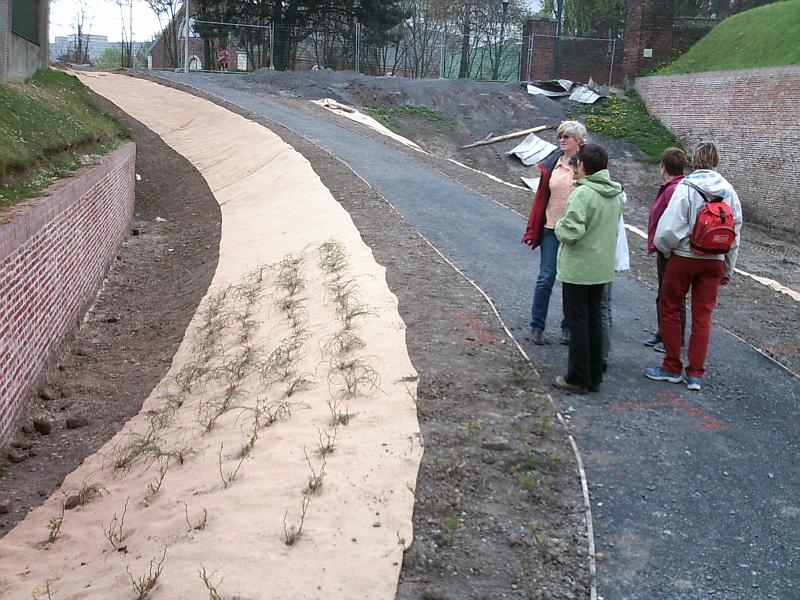 2010-04-25_07.JPG