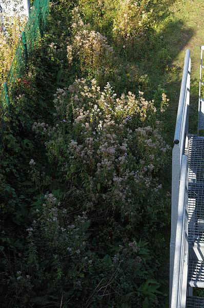 rb_20120930-01.JPG