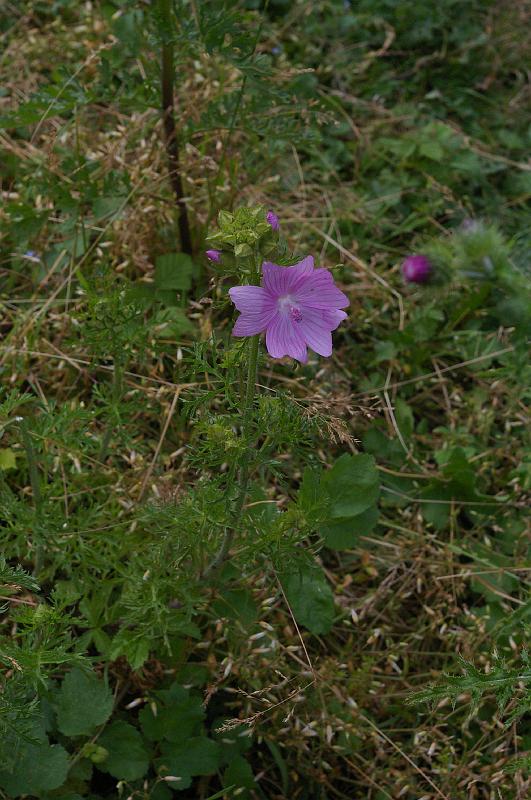 20140622_010.JPG