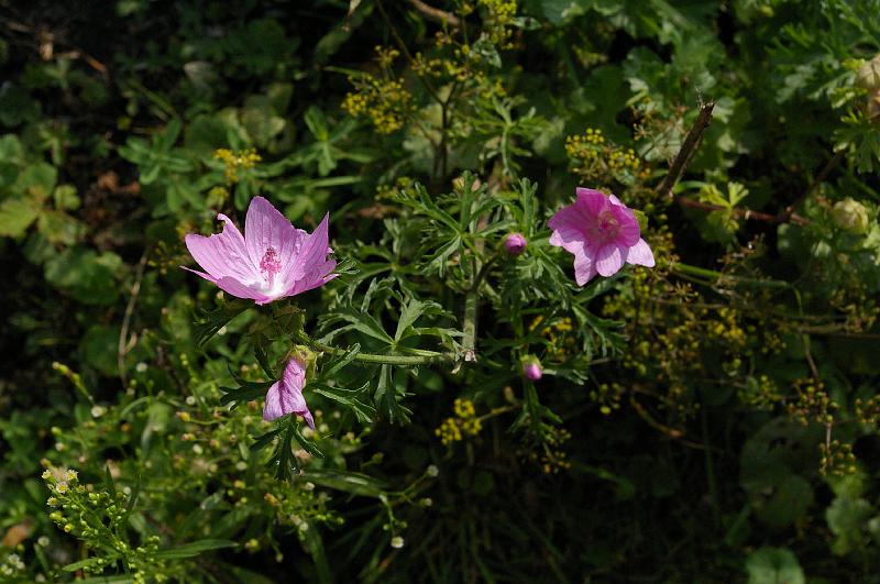 20140914_010.JPG